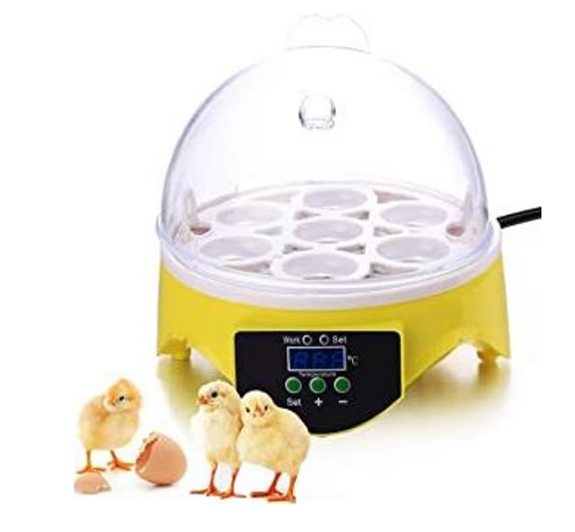 INCUBADORA  AUTOMÁTICA DE  7 HUEVOS